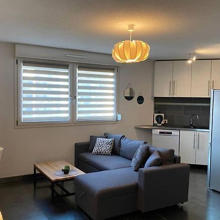 Apartmán F2 Au Calme, Proche Gare, Center Parc, Sainte Croix Sarrebourg Exteriér fotografie